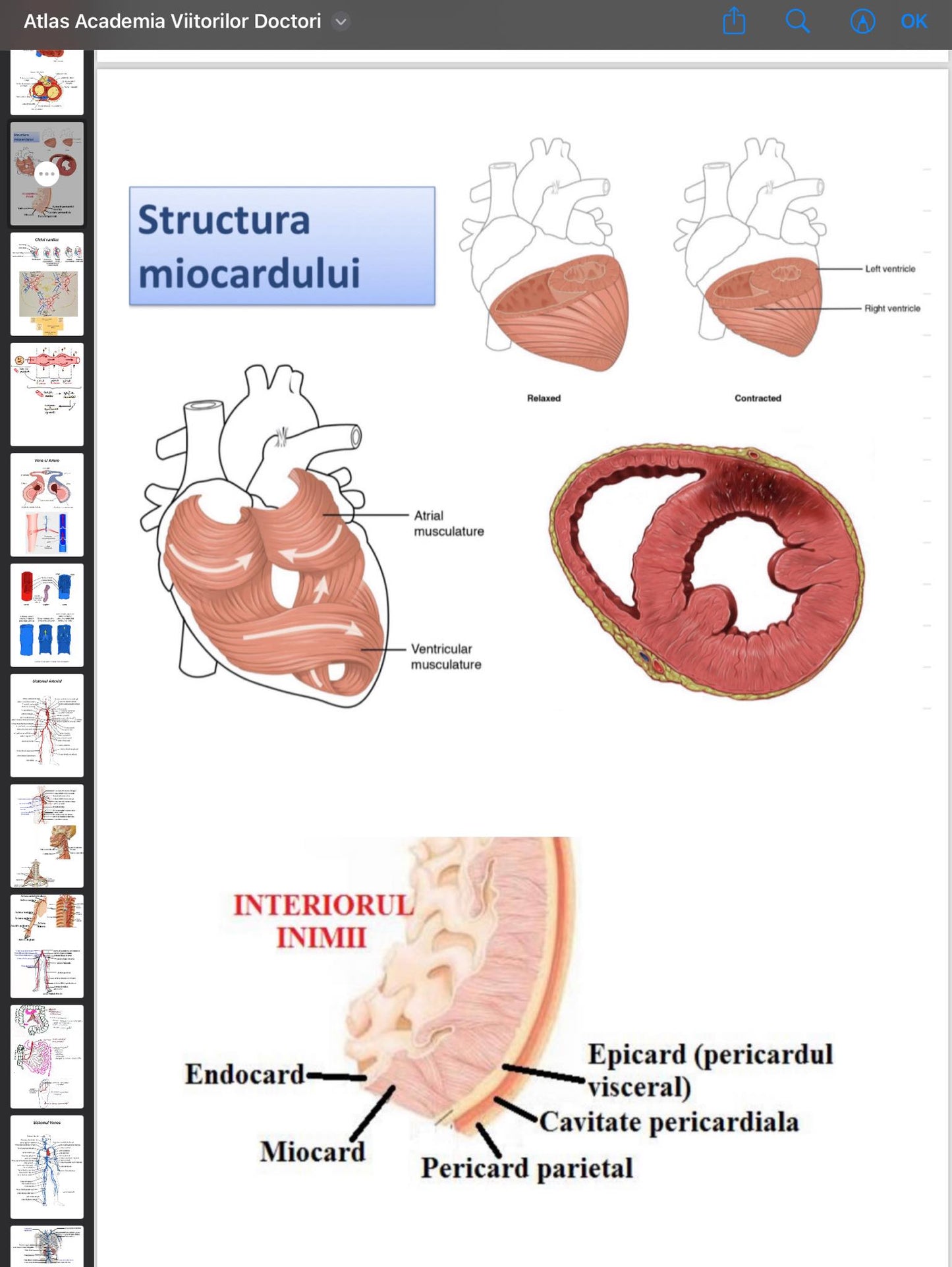 .Atlas Anatomie