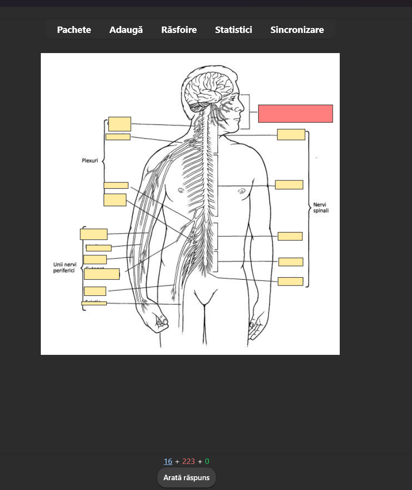 .12000 Digital FlashCards BARRONS (toata materia+valori+imaigni)