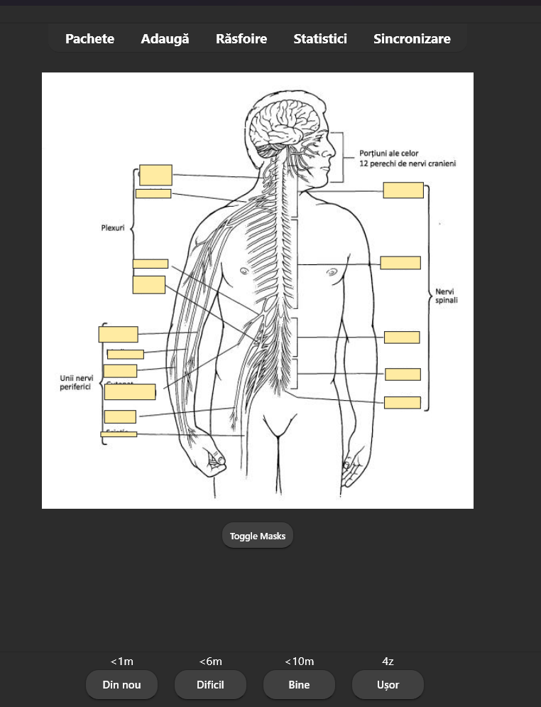 .12000 Digital FlashCards BARRONS (toata materia+valori+imaigni)